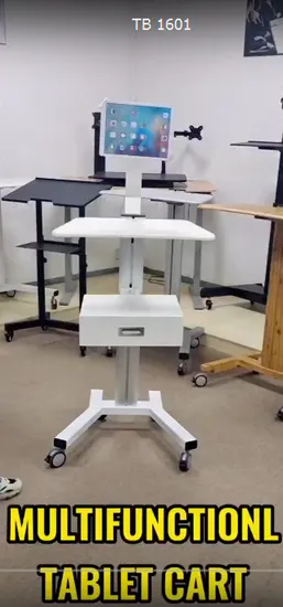 뜨거운 판매 도매 데스크탑 클램프 마운트 듀얼 가스 스프링 모니터 스탠드 10~30인치 모니터 Ws